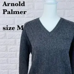 ArnoldPalmorアーノルドパーマー長袖Vネックニットセーター【0216】