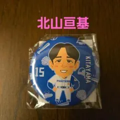 2026年最新】北海道日本ハムファイターズ 種類：キーホルダー/バッチ