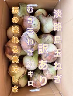 淡路島産むき玉ねぎ 20kgのサムネイル