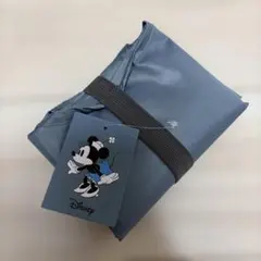 ☆最安値☆スタンダードプロダクツDisney ミニー ショッピングバッグ 保冷