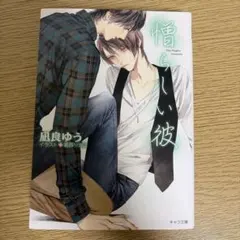 憧れの彼 小説 凪良ゆう 美しい彼2