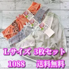 Lサイズ❤️3枚セット まとめ売り トリコット レディース ショーツ 1088