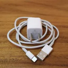 『純正正規品』iPhone アダプター ケーブルセット