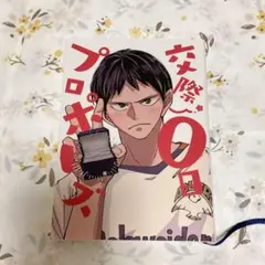 Item thumbnail for item 736fdb02-0184-47aa-9b1a-ac3032bba0f9