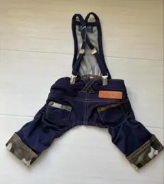 Item thumbnail for item 4401bff4-eb42-415a-bed9-9ea75de8c117