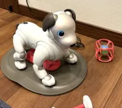 Sony aibo 本体 ERS-1000