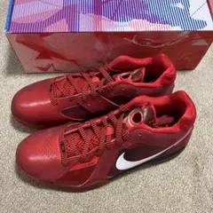 Item thumbnail for item 8585e703-a9a4-4a33-b038-c5e2a9743fcc