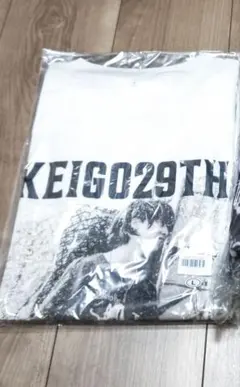 Item thumbnail for item 2dfe710a-766e-4fbb-a489-adabaf17b783