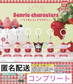 サンリオキャラクターズ　いちごめじるしアクセサリー　全6種　コンプリートセット