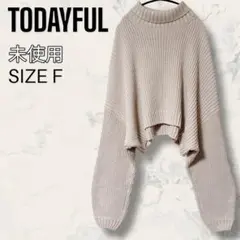 【未使用】 TODAYFUL バルキー タートル オーバー ニット タートル