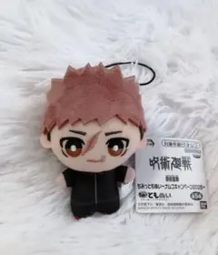 呪術廻戦 ちみっともぬい 虎杖悠仁 ぬいぐるみ マスコット ナムコキャンペーン