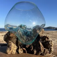 流木ガラス オブジェ超特大G 花瓶 金魚鉢 水槽 テラリウム 観賞魚 メダカ容器