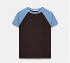 ZARA ラグランスリーブショートTシャツ
