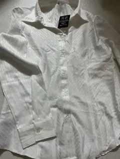 Item thumbnail for item 45900a65-3127-48be-954c-59978446c141