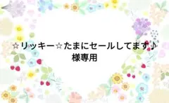 ☆リッキー☆たまにセールしてます♪様専用ページです