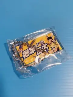 2025 ベガルタ仙台／プレーヤーズキーホルダー ①