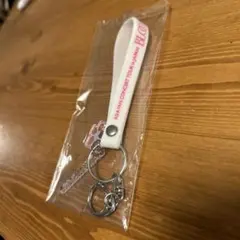 D.O. BLOOM ASIA FAN CONCERT キーホルダー