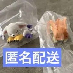 デジモンアドベンチャー おやすみ隊 パタモン テイルモン