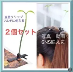 Item thumbnail for item 65397502-f809-4fc3-a44e-b697d285b3f7