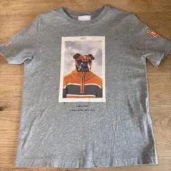 バーバリー　Ｔシャツ　キッズ　サイズ　116cm 6Y