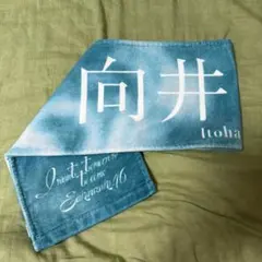 櫻坂46 向井純葉 タオル I want tomorrow to come
