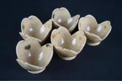 a696 加藤作助 黄瀬戸 瓢箪 鉢 8客 箱付 / 浅鉢 向付 懐石道具 a696 加藤作助 黄瀬戸 瓢箪 鉢 8客 箱付 / 浅鉢 向付 懐石道具 - メルカリ