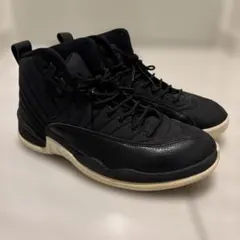 【希少】AIR JORDAN 12 RETRO NYLON レトロ ナイロン