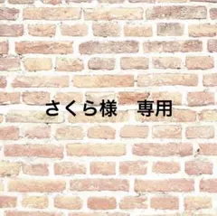 さくら様 リクエスト 3点 まとめ商品