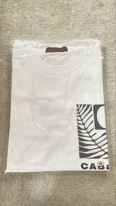 【新品未使用】CABaNノベルティTシャツ Mサイズのサムネイル