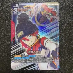 京楽春水・花天狂骨-卍紹介文P必読卍-様 リクエスト 2点 まとめ商品