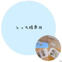 とっち様