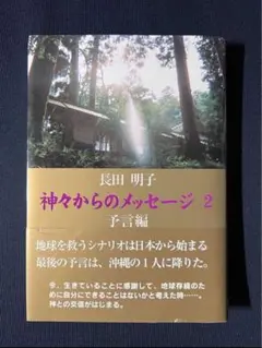 神々からのメッセージ 2025年最新】神々からのメッセージの人気アイテム - メルカリ