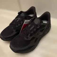 Fresh Foam Arishi v4