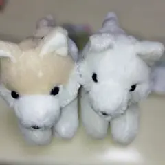 もふっとオオカミ　くつろぎ　ほっきょくん　大陸ちゃん