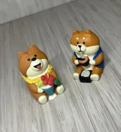 コンコンブル　そば　パラダイス　わんこ　まとめ売り