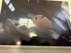 チェンソーマン ポストカードセット 5枚とチェンソーマン色紙