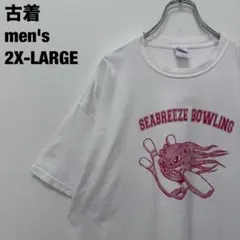 GILDAN ギルダン Tシャツ シーブリーズボーリング ビッグサイズ2XL古着