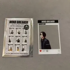 映画 WIND BREAKER 綱啓永 蘇枋隼飛 クリアカード