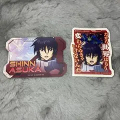 機動戦士ガンダムSEED DESTINY缶バッジ ラクス・クライン シン・アスカ
