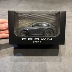 2026年最新】クラウンスポーツ ミニカー アッシュの人気アイテム