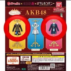 カプセルトルソー　AKB48　２種