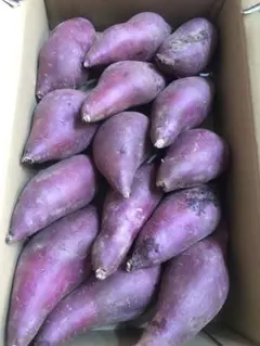 670.お買い得さつまいも福紫芋ふくむらさきいも箱込み5kg本数おまかせ