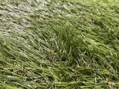 Item thumbnail for item a87dcea1-cbd0-49bc-87eb-01ff4fbd7bba