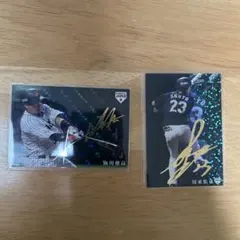 ［値下げ交渉⭕️］侍ジャパン カード 2枚セット 山川穂高　周東佑京