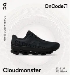 【美品】 ON Cloudmonster クラウドモンスター　27.5