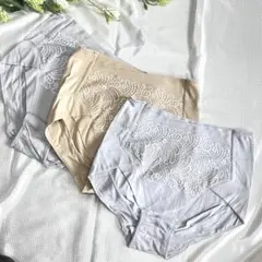 トリンプきれいになろう　ショーツ　LLサイズ3枚 セット