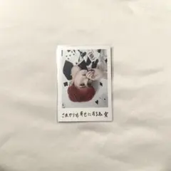 INI 尾崎匠海 通常盤 ポラロイド