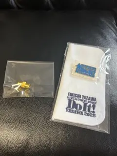 矢沢永吉 ミュージシャン