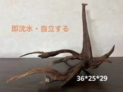 2026年最新】マシンガンウッドの人気アイテム - メルカリ