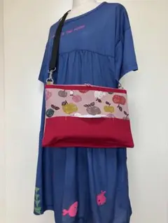BOXティッシュサコッシュ　お散歩ティッシュケース